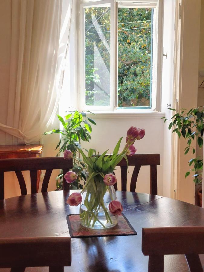 Apartments Batala Dubrovnik Dış mekan fotoğraf